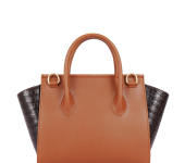 Women Brown Trapeze Crossbody Bag