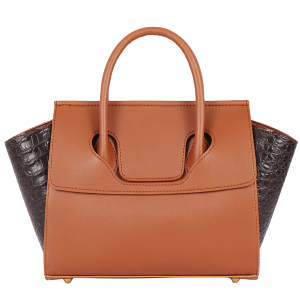 Women's Brown Trapeze Crossbody Bag